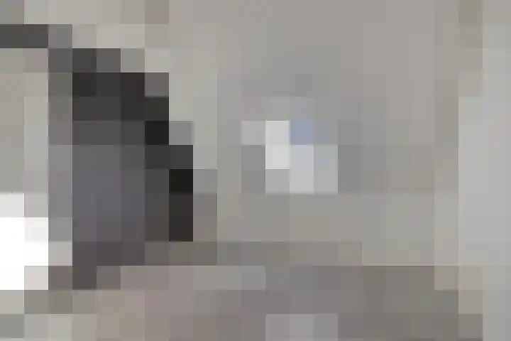 Dijk van Bommenede 24 Zonnemaire thumbnail 19