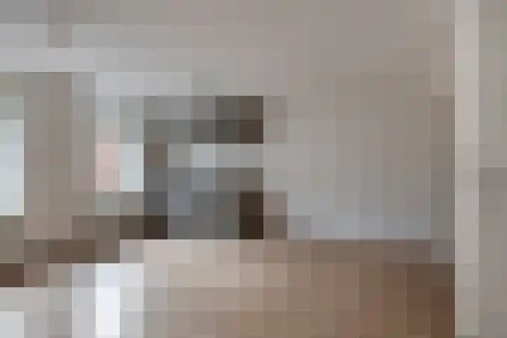 Dijk van Bommenede 24 Zonnemaire foto 2