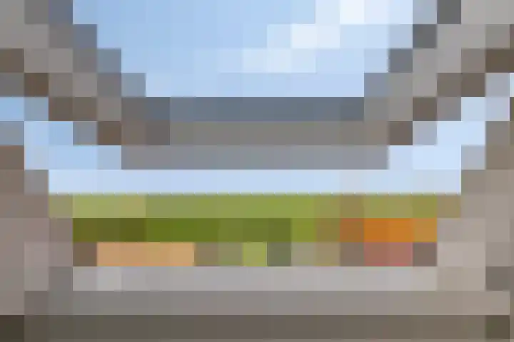 Dijk van Bommenede 24 Zonnemaire thumbnail 20