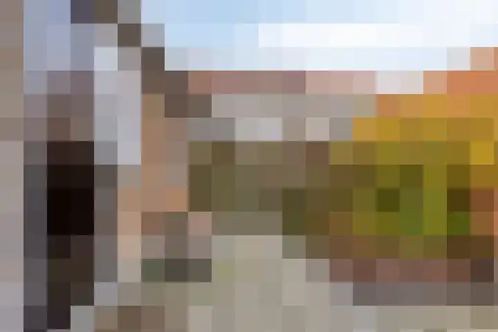 Dijk van Bommenede 24 Zonnemaire thumbnail 21