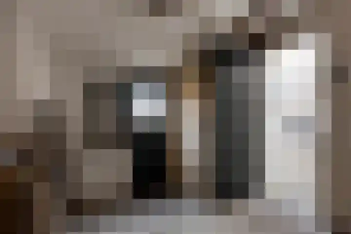 Dijk van Bommenede 24 Zonnemaire thumbnail 22