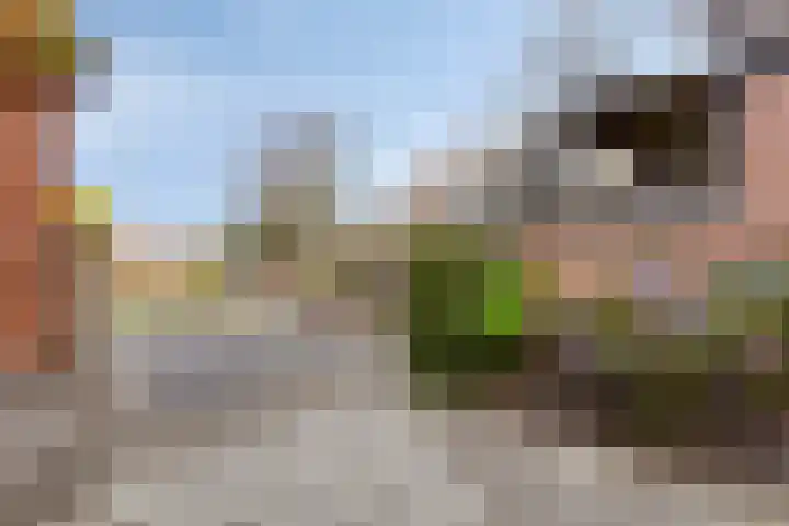 Dijk van Bommenede 24 Zonnemaire thumbnail 24