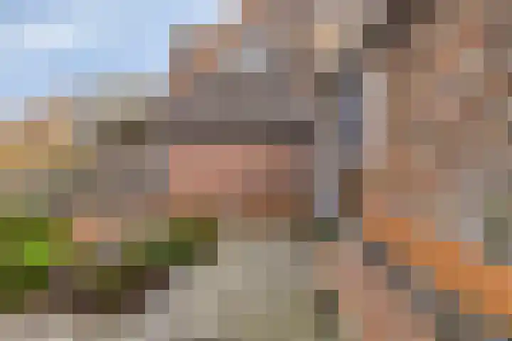 Dijk van Bommenede 24 Zonnemaire thumbnail 25
