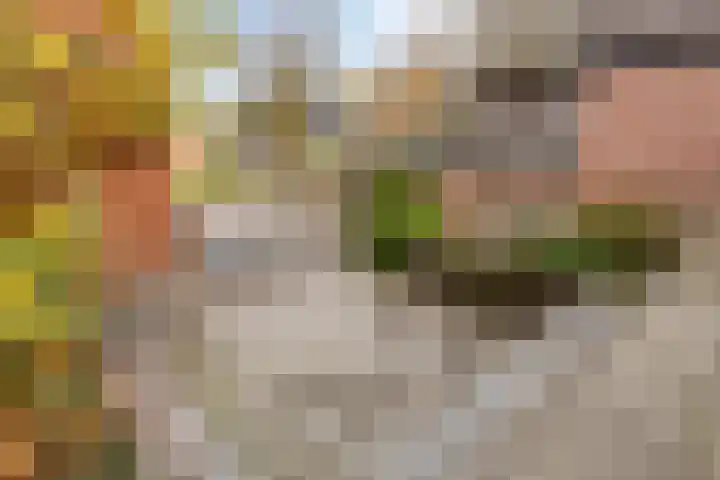 Dijk van Bommenede 24 Zonnemaire thumbnail 26