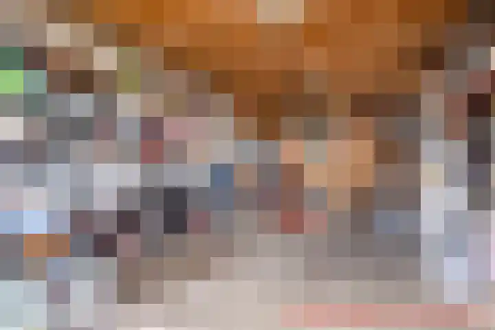 Dijk van Bommenede 24 Zonnemaire thumbnail 28