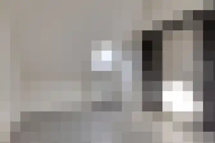 Dijk van Bommenede 24 Zonnemaire foto 3