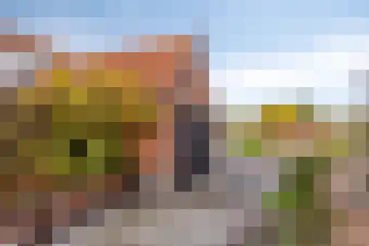 Dijk van Bommenede 24 Zonnemaire thumbnail 4