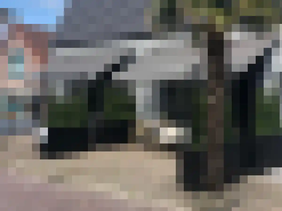 Dijk van Bommenede 50 Zonnemaire foto 2