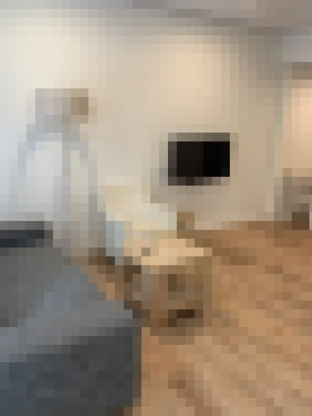 Dijk van Bommenede 50 Zonnemaire thumbnail 5