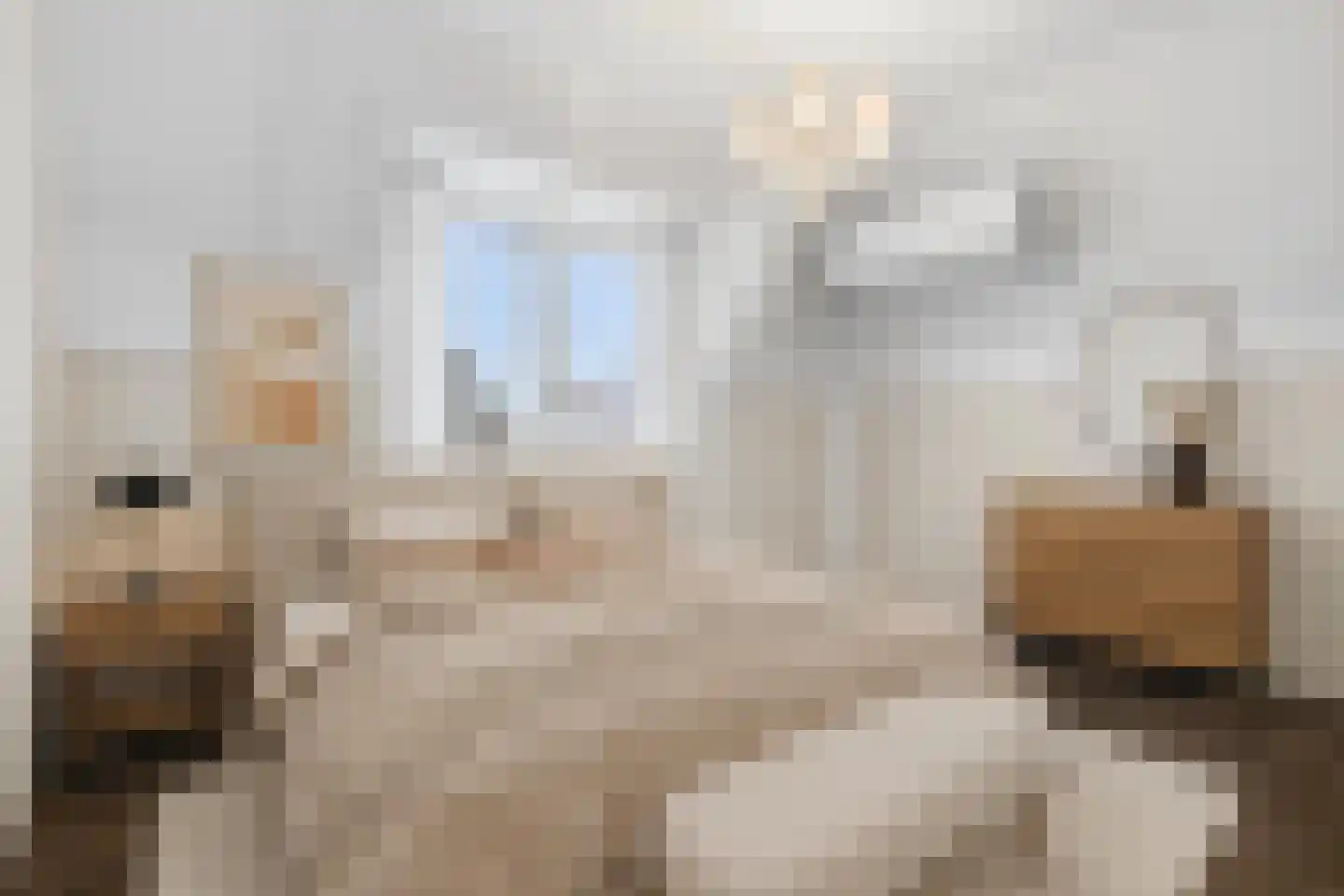Dijkbeemd 12 Waalre thumbnail 16