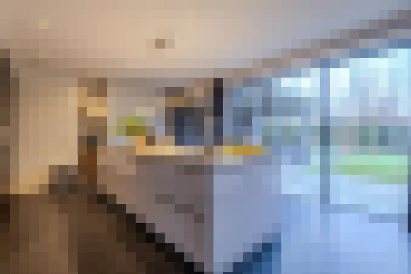 Dijkbeemd 14 Best thumbnail 16