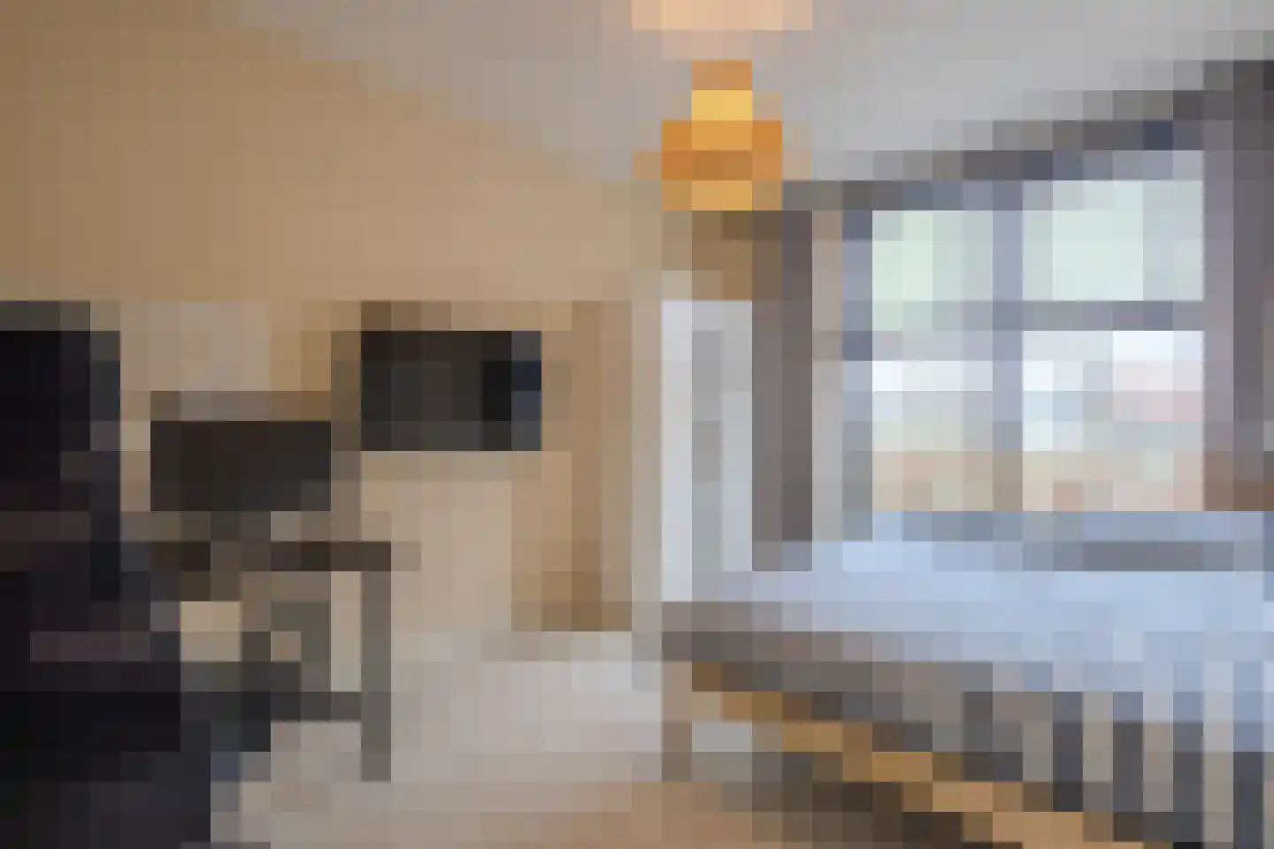 Dijkbeemd 14 Best thumbnail 28