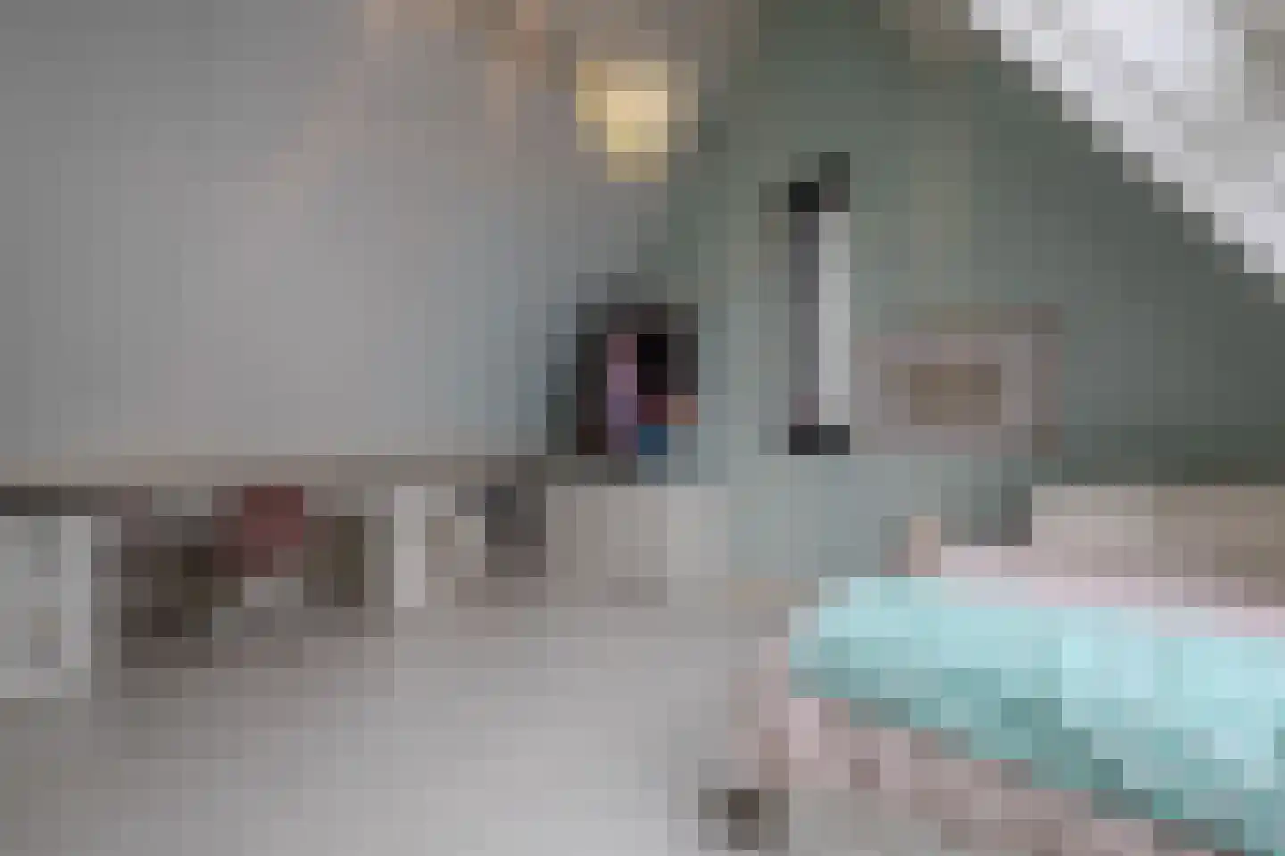 Dijkbeemd 14 Best thumbnail 33