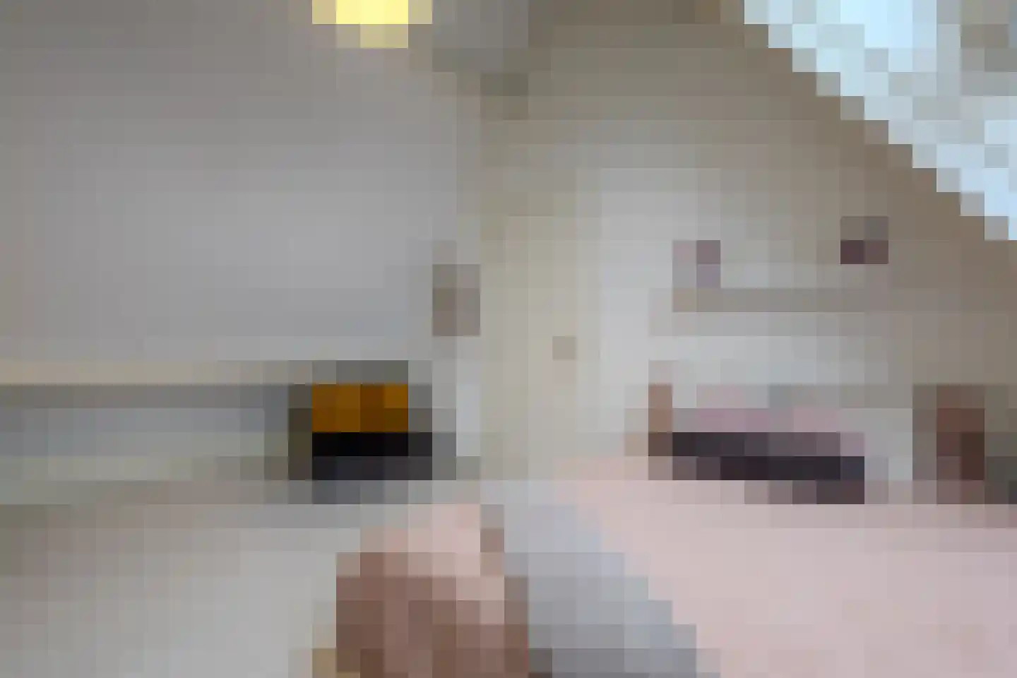 Dijkbeemd 14 Best thumbnail 36