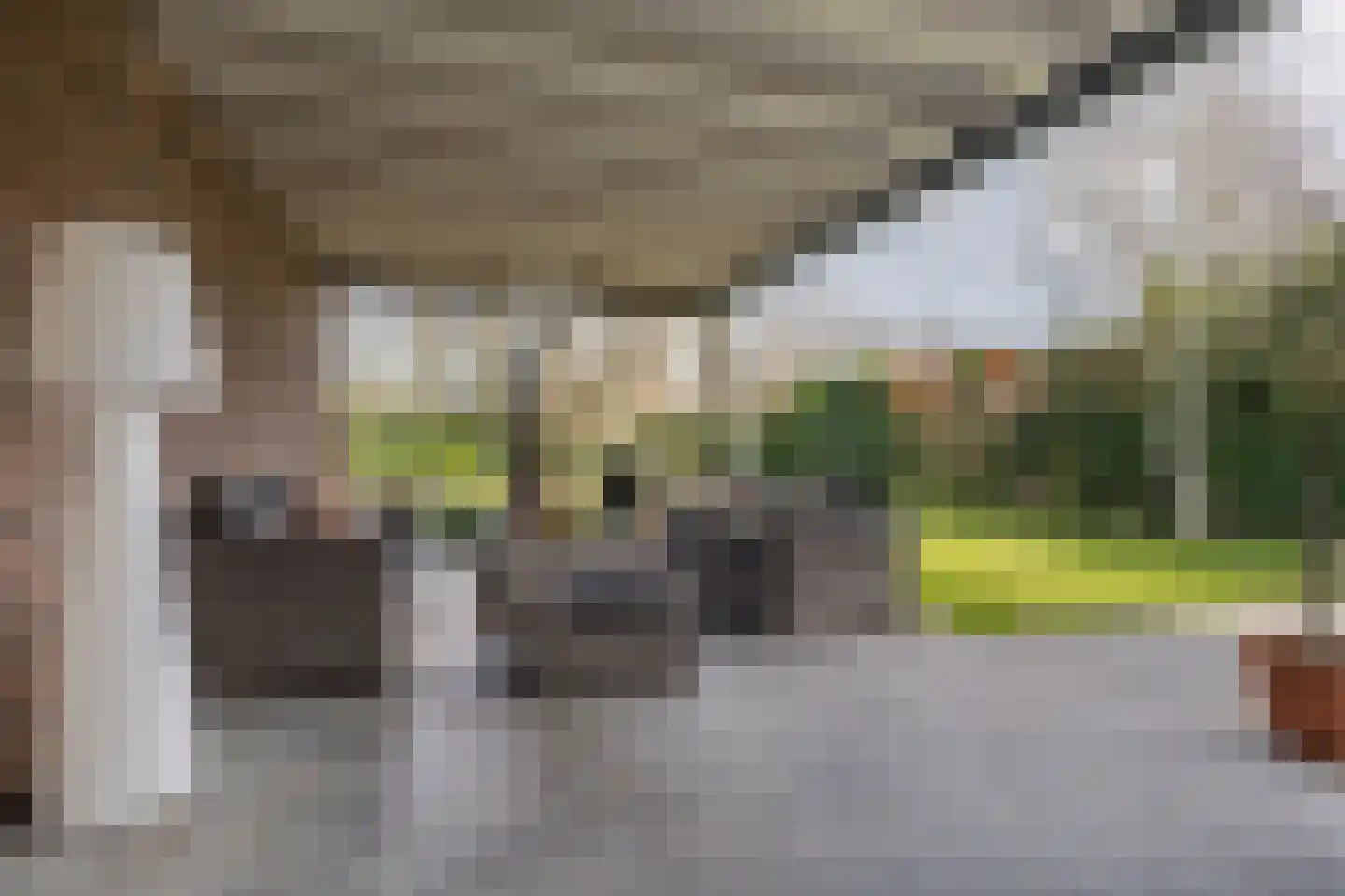 Dijkbeemd 14 Best thumbnail 40