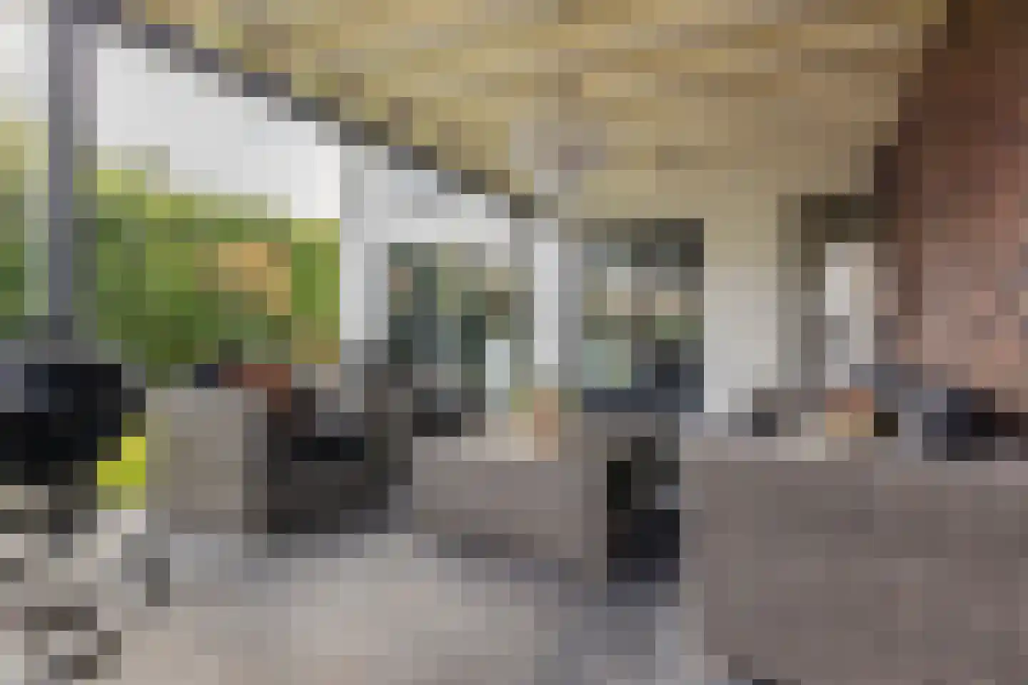 Dijkbeemd 14 Best thumbnail 41