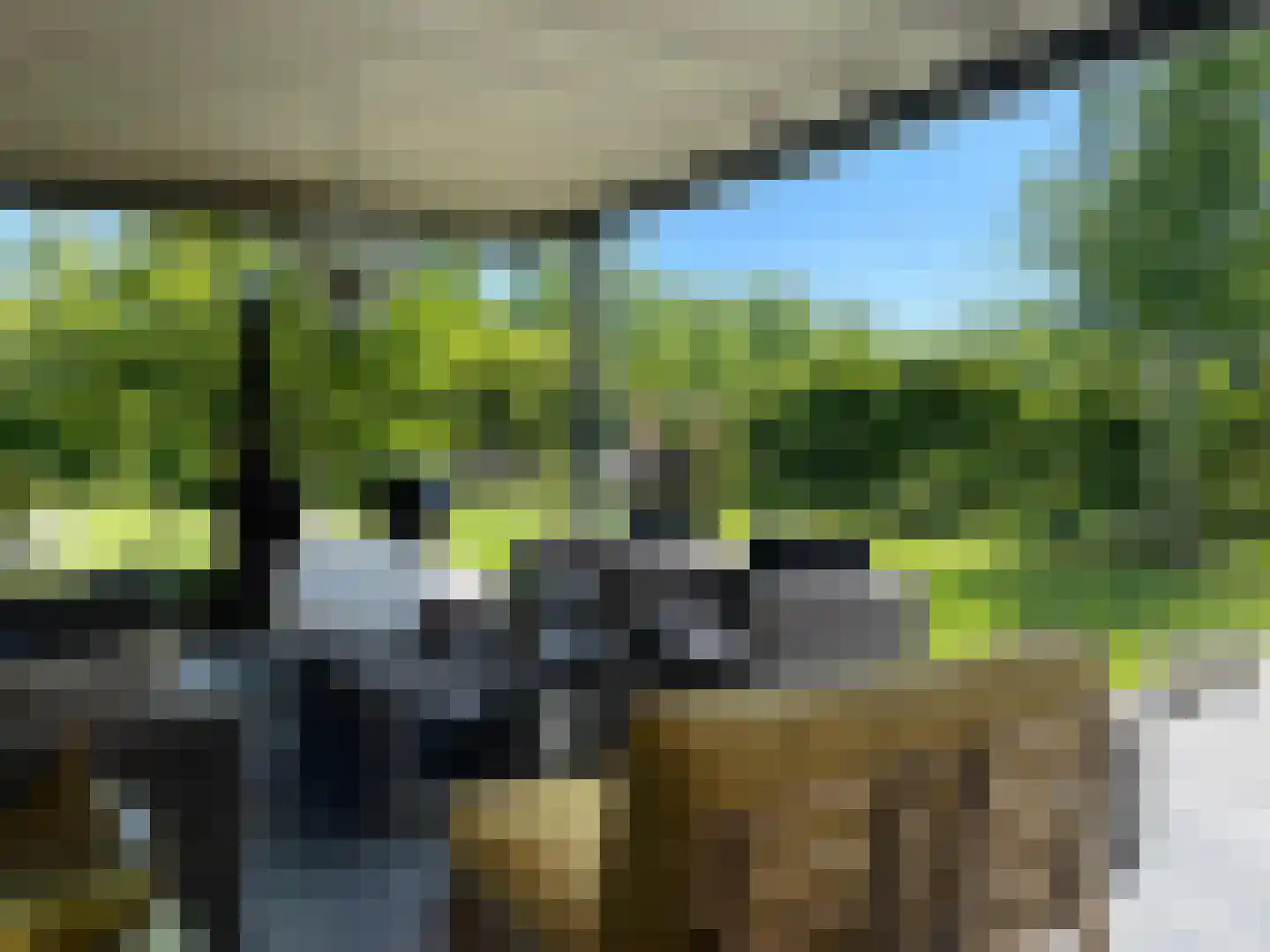 Dijkbeemd 14 Best thumbnail 50