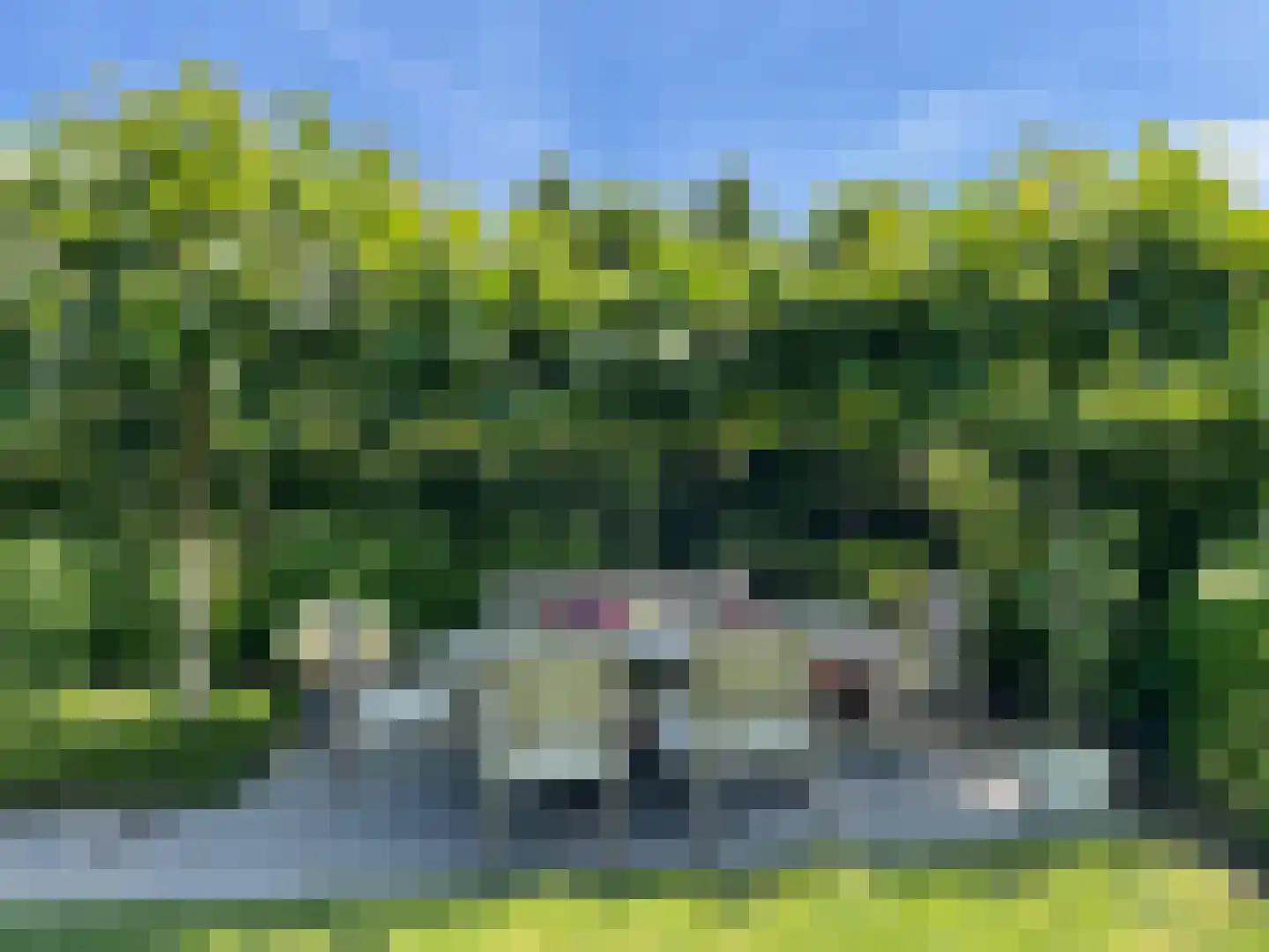 Dijkbeemd 14 Best thumbnail 51