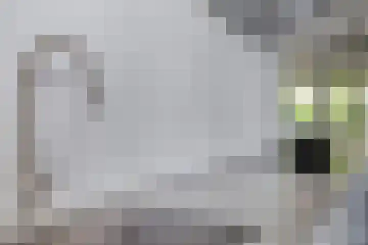 Dijkbeemd 3 Best thumbnail 11