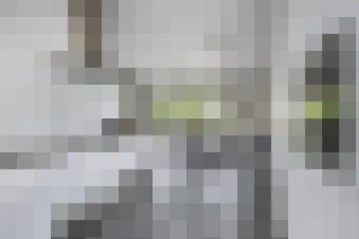 Dijkbeemd 3 Best thumbnail 12