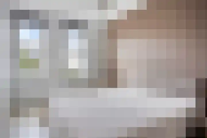 Dijkbeemd 3 Best thumbnail 14