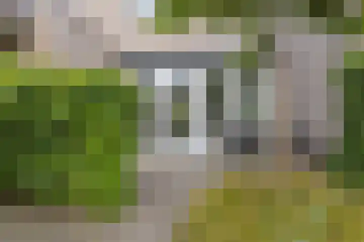 Dijkbeemd 3 Best foto 2