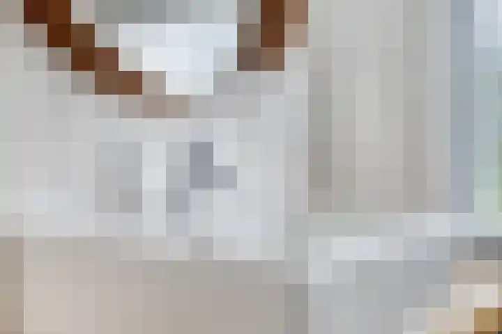 Dijkbeemd 3 Best thumbnail 22
