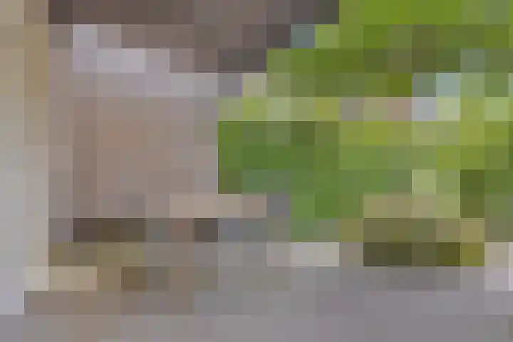 Dijkbeemd 3 Best thumbnail 25