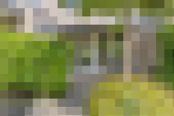 Dijkbeemd 3 Best thumbnail 26