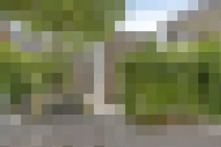 Dijkbeemd 3 Best thumbnail 27