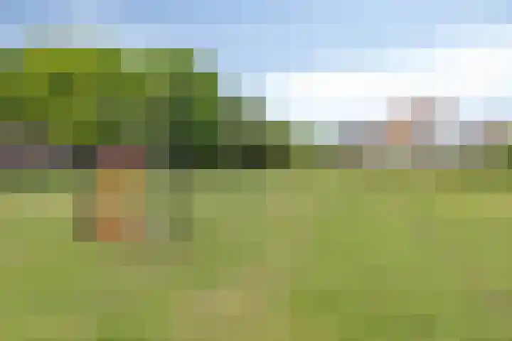 Dijkbeemd 3 Best thumbnail 28