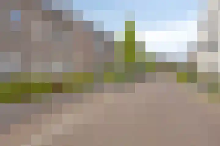 Dijkbeemd 3 Best thumbnail 29