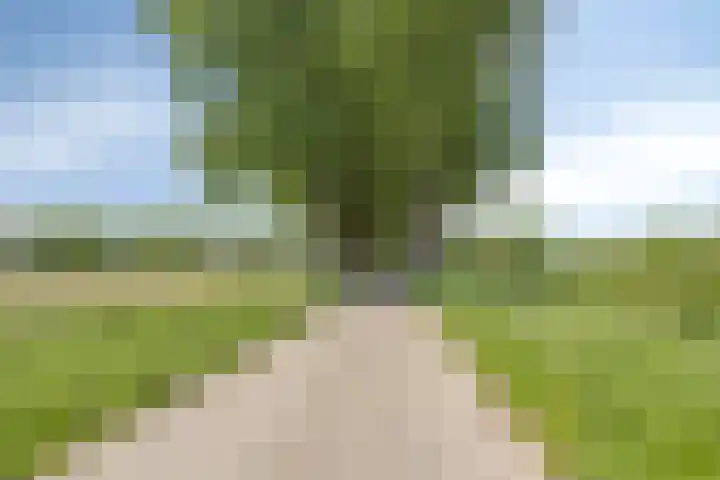 Dijkbeemd 3 Best thumbnail 30