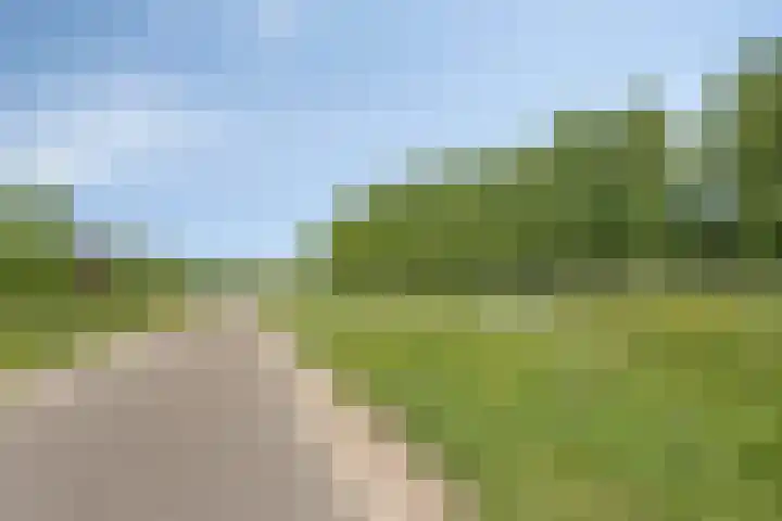 Dijkbeemd 3 Best thumbnail 31