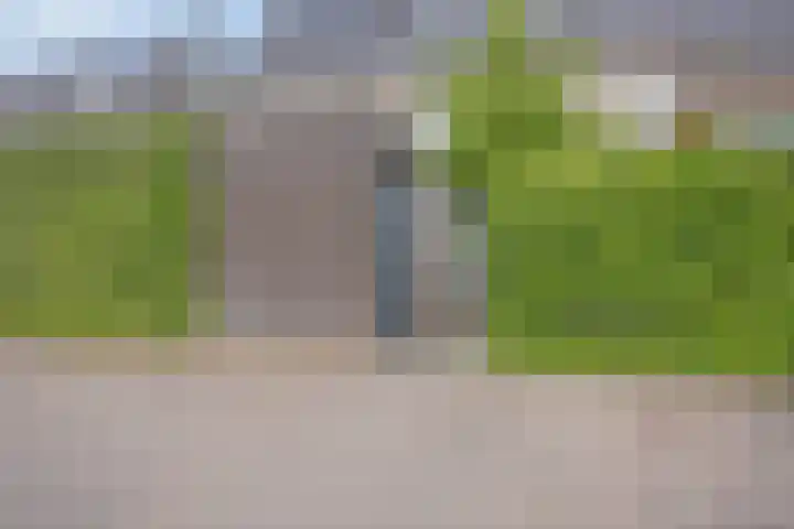 Dijkbeemd 3 Best thumbnail 32