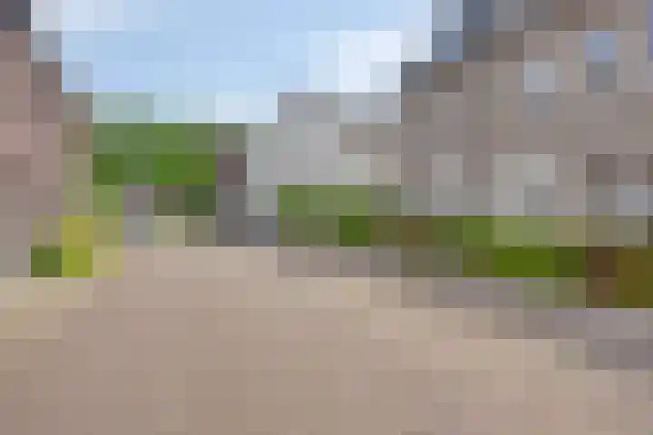 Dijkbeemd 3 Best thumbnail 33