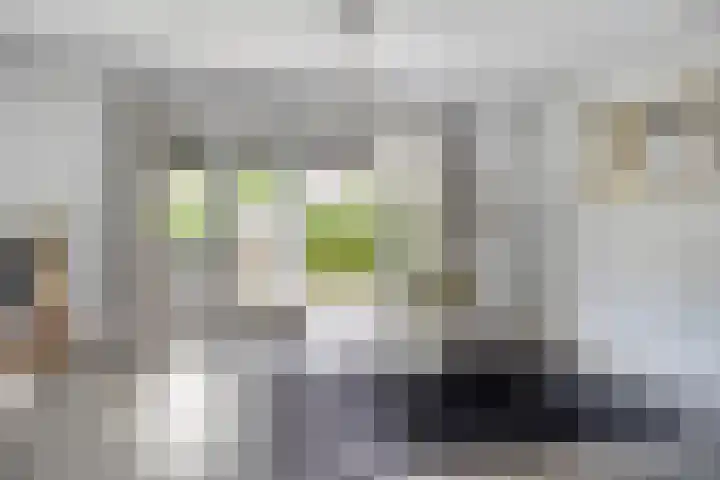 Dijkbeemd 3 Best thumbnail 6