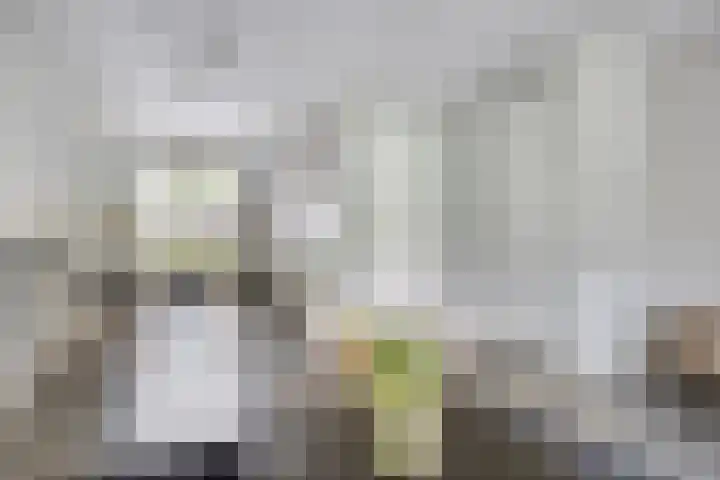 Dijkbeemd 3 Best thumbnail 7