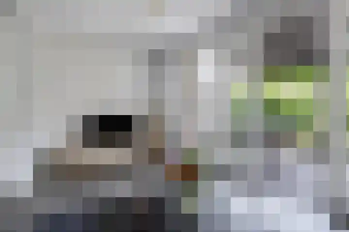 Dijkbeemd 3 Best thumbnail 8