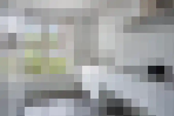 Dijkbeemd 3 Best thumbnail 9