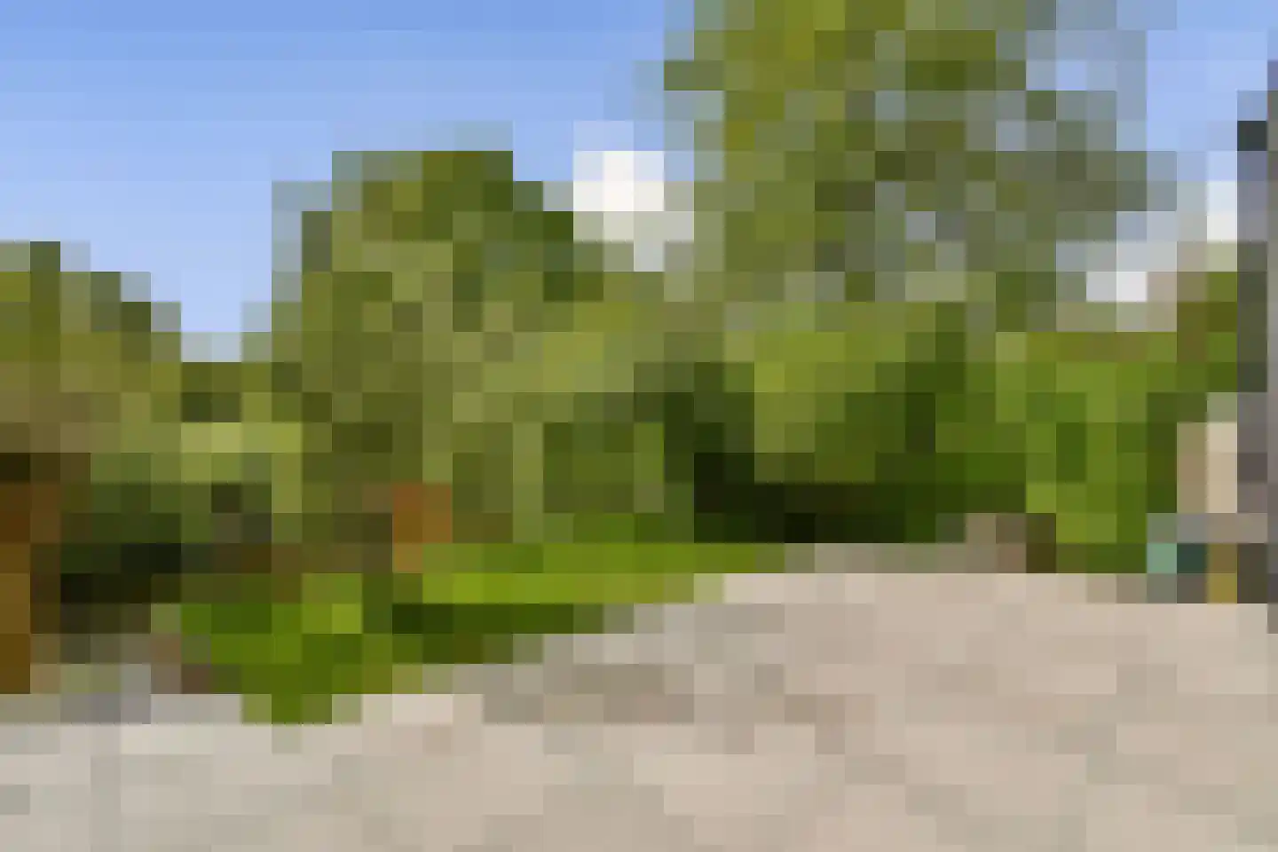Dijkbraak 24 Amsterdam thumbnail 12