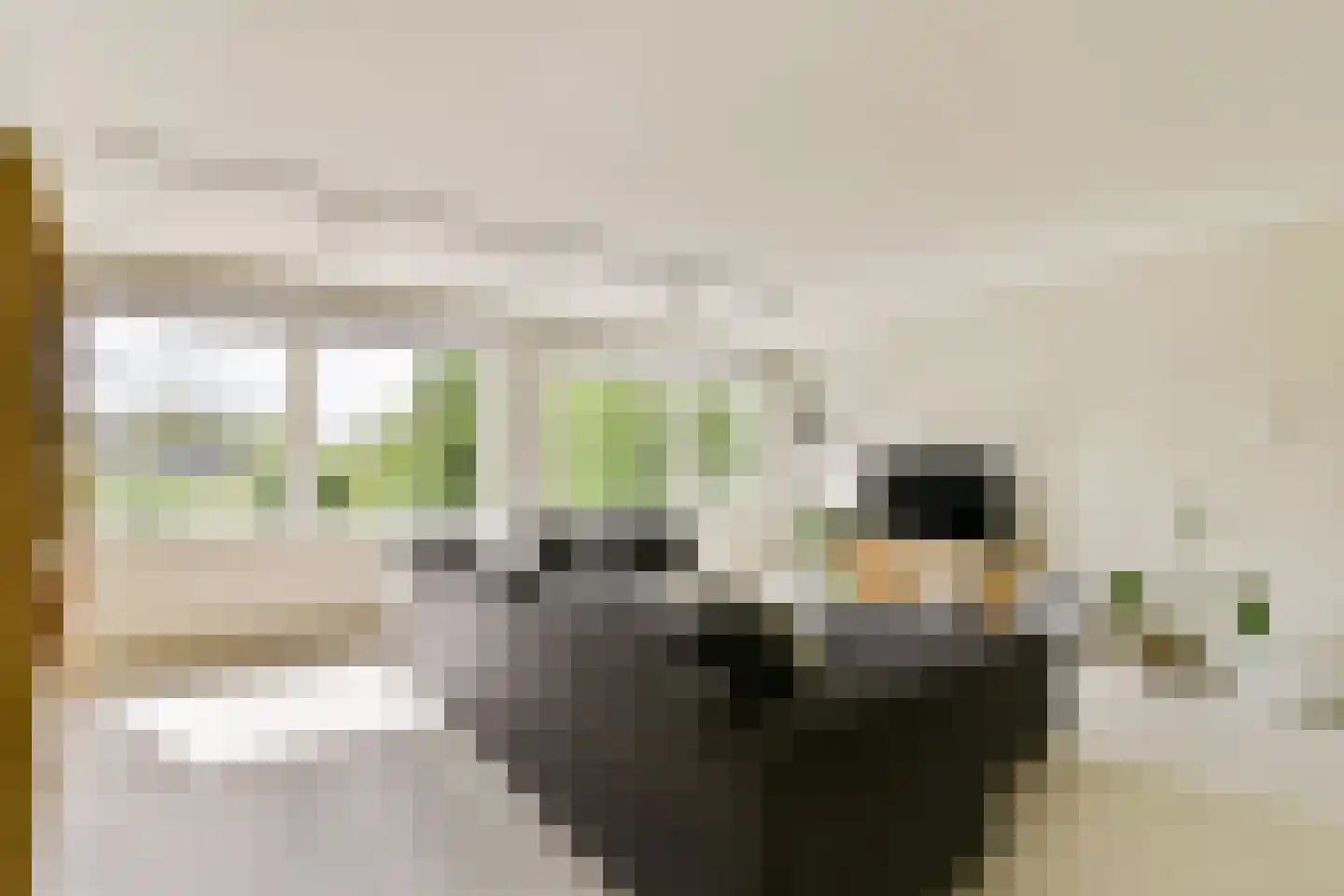 Dijkbraak 24 Amsterdam thumbnail 13