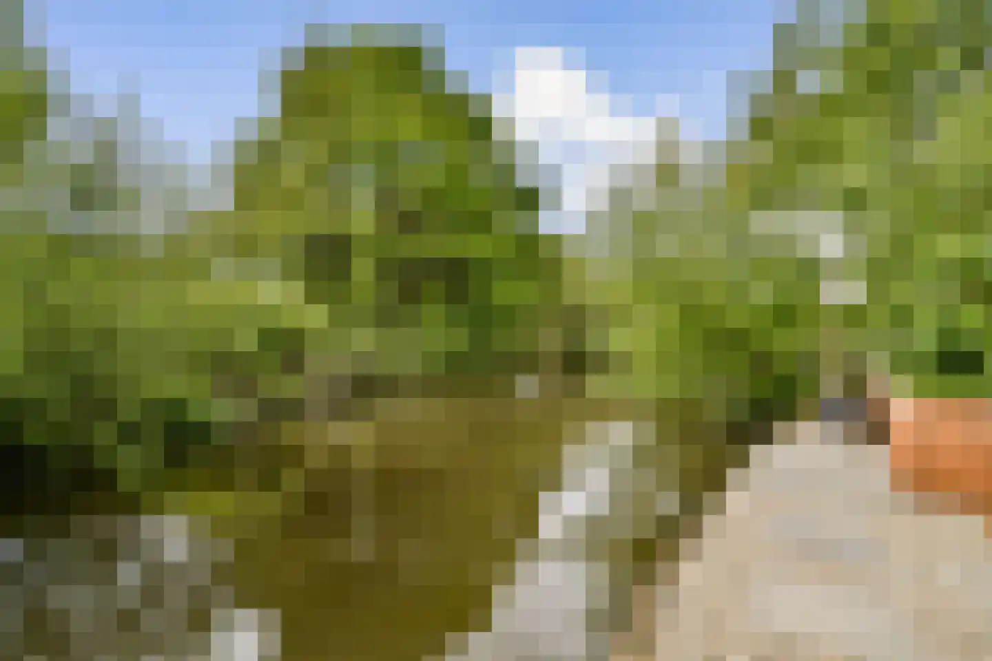 Dijkbraak 24 Amsterdam thumbnail 5