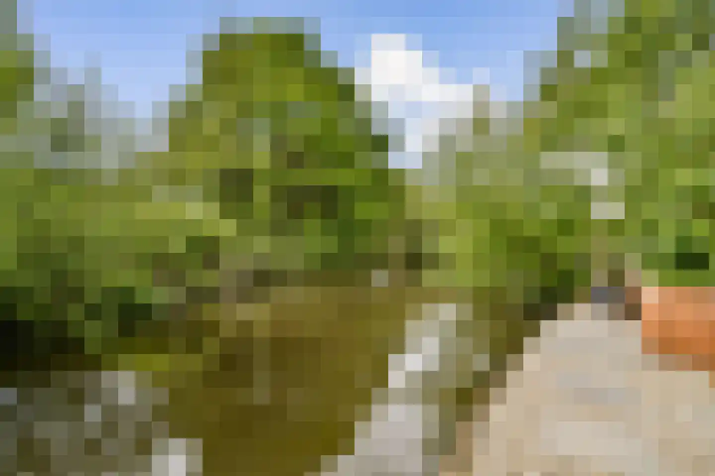 Dijkbraak 24 Amsterdam thumbnail 8