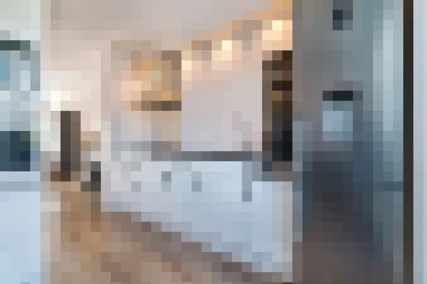 Dijkcentrum 79 Roosendaal thumbnail 18