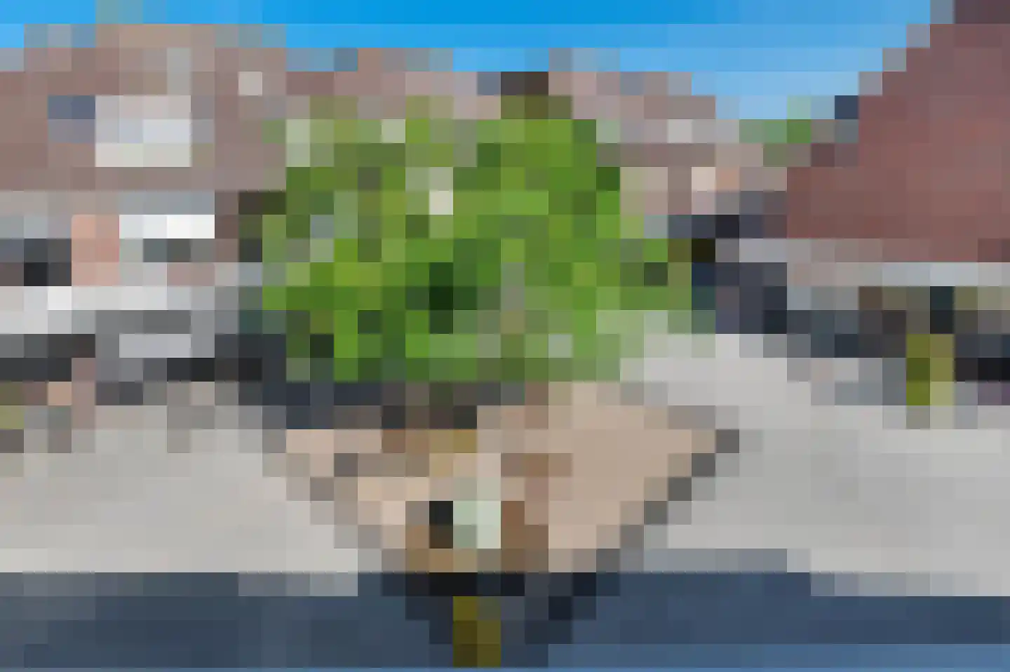Dijkcentrum 79 Roosendaal thumbnail 4
