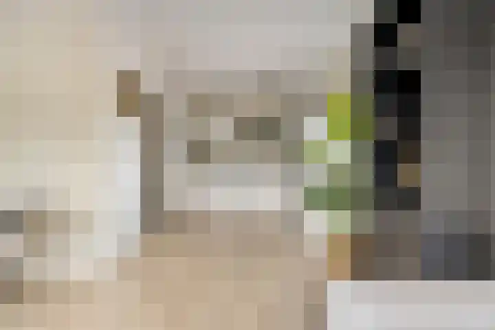 Dijkcentrum 89 Roosendaal thumbnail 13