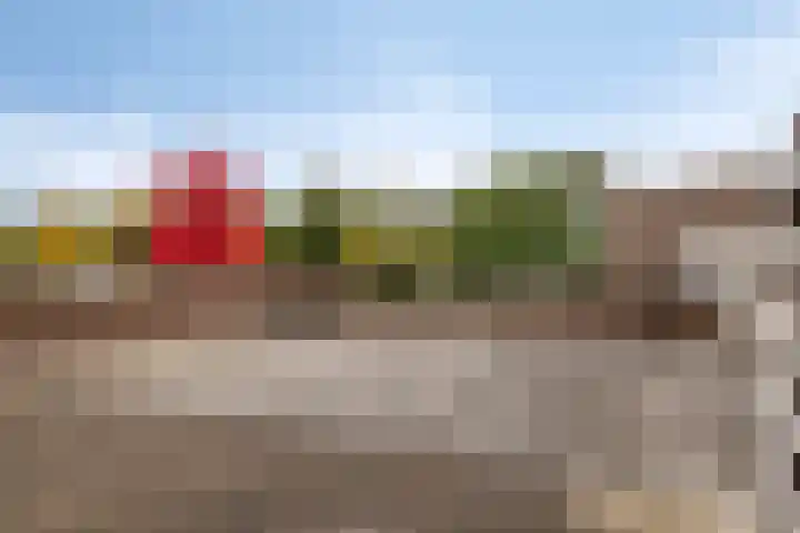 Dijkcentrum 89 Roosendaal thumbnail 18