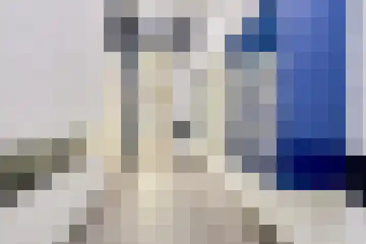 Dijkcentrum 89 Roosendaal thumbnail 23