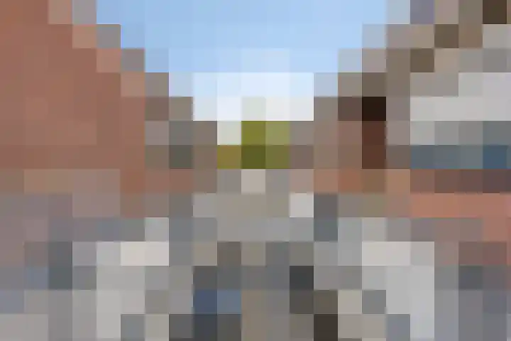 Dijkcentrum 89 Roosendaal thumbnail 29